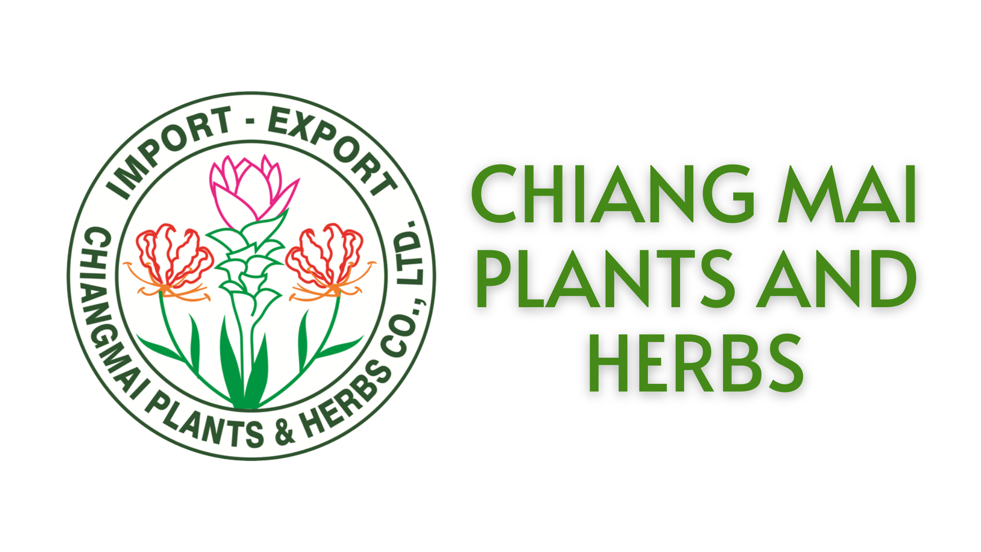 Chiang Mai Plants and Herbs chiangmaiplantsandherbs